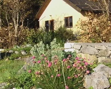 Seashore On Galway Bay