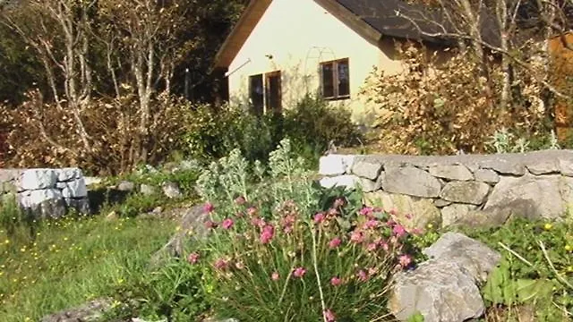 Seashore On Galway Bay